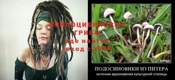 ALPHA-PVP Верхний Тагил