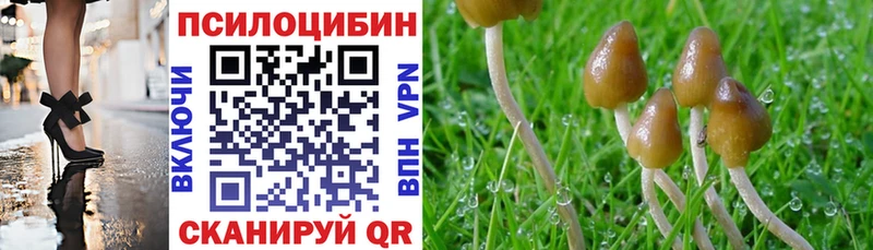 MEGA как войти  Пестово  дарк нет состав  Галлюциногенные грибы MAGIC MUSHROOMS 